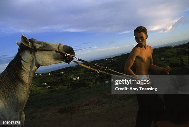 Boy leads his horse August 3, 2001 in Vieques, Puerto Rico. Puerto Rico was an outpost of Spanish colonialism for 400 years, until the United States...