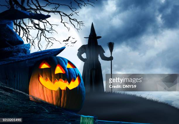 bruja está parado en la pequeña colina frente a luna de halloween - bruja fotografías e imágenes de stock