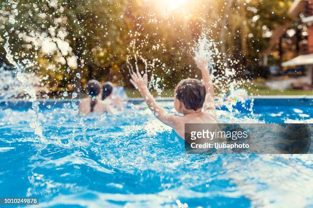 we're little fish! - swimming pool stock pictures, royalty-free photos & images