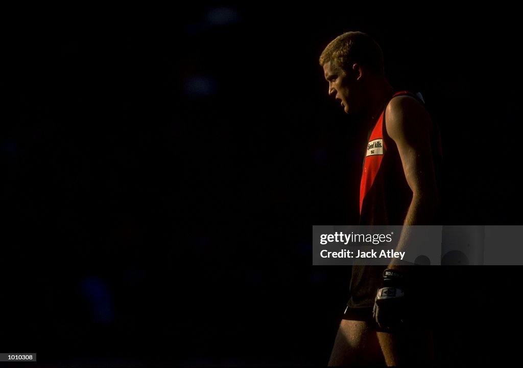 Dustin Fletcher of Essendon