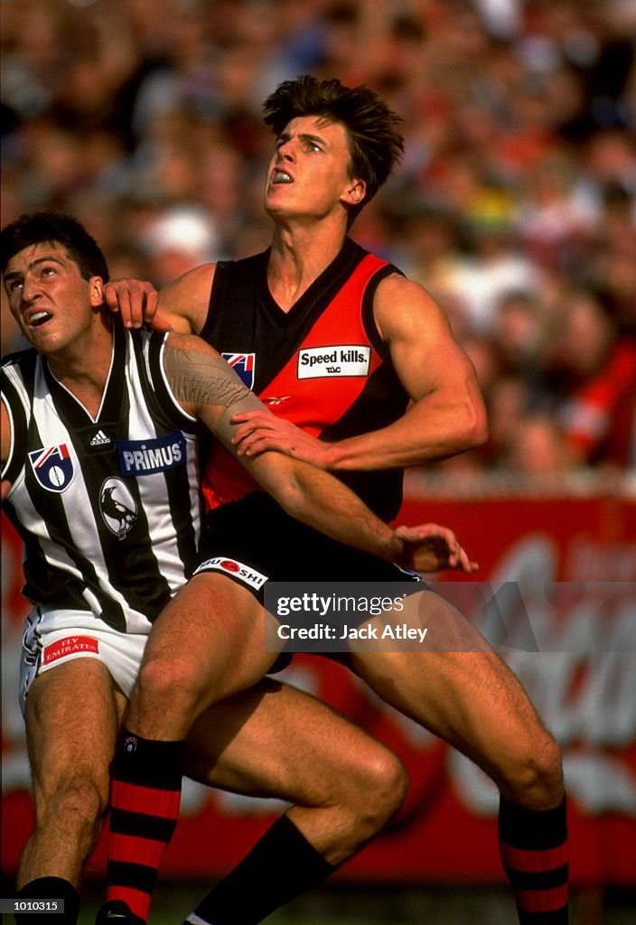 Matthew Lloyd of Essendon