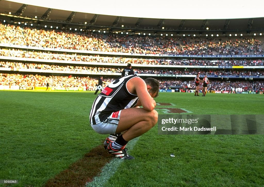 Anthony Rocca of Collingwood