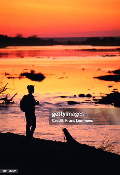 woman looking at upper zambezi river, zimbabwe, sunset - zambezi river stock pictures, royalty-free photos & images