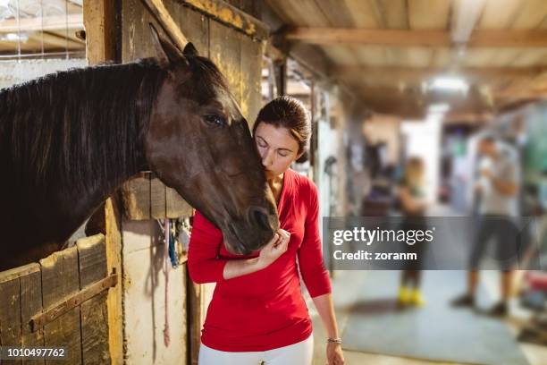 woman kissing horse head with affection - grace tame stock pictures, royalty-free photos & images
