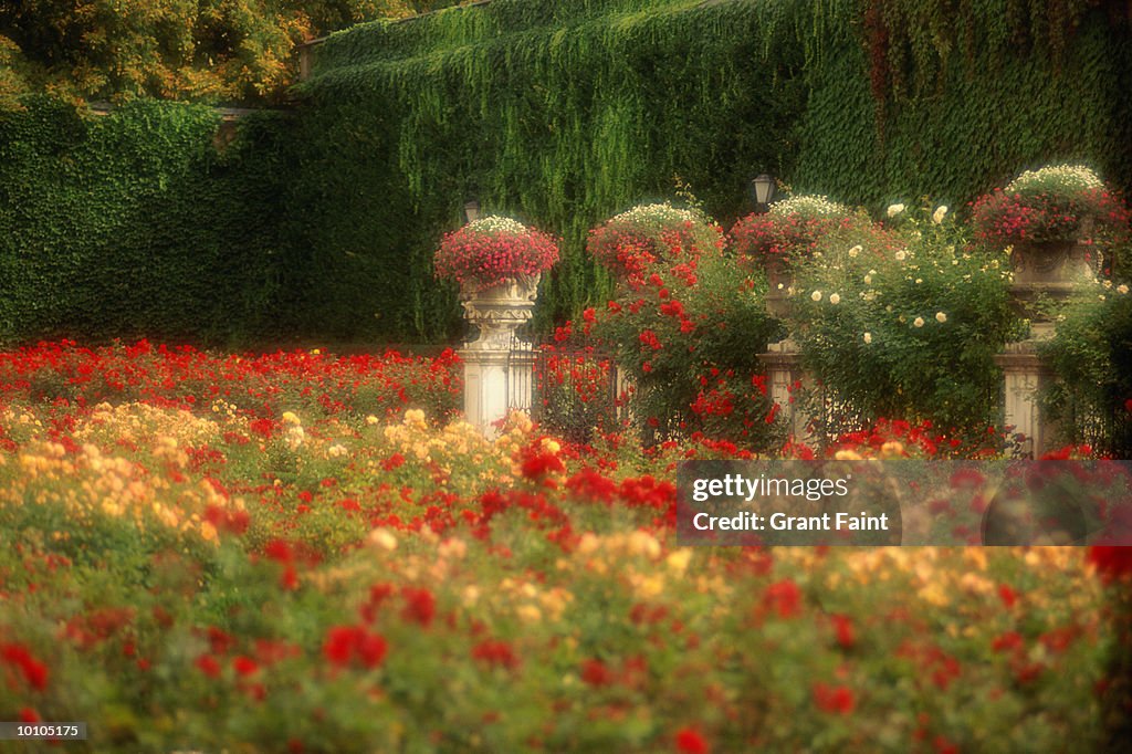 GARDENS, SCHLOSS MIRABELL, SALZBURG, AUSTRIA