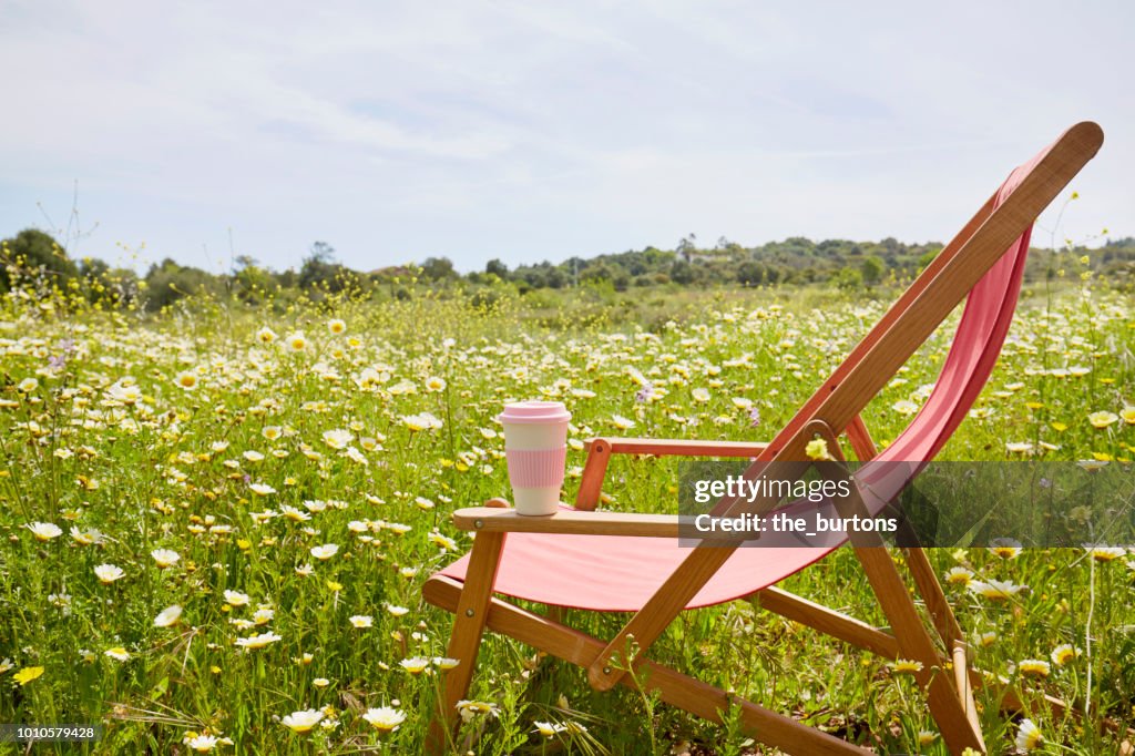 Red deck chair with coffee cup in a flower meadow