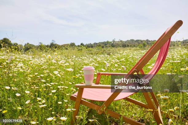 red deck chair with coffee cup in a flower meadow - spring weather stock pictures, royalty-free photos & images