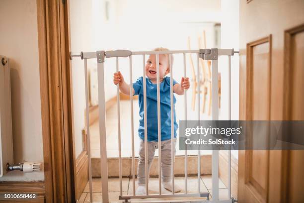 niño pequeño tiene puerta de seguridad - puerta principal fotografías e imágenes de stock