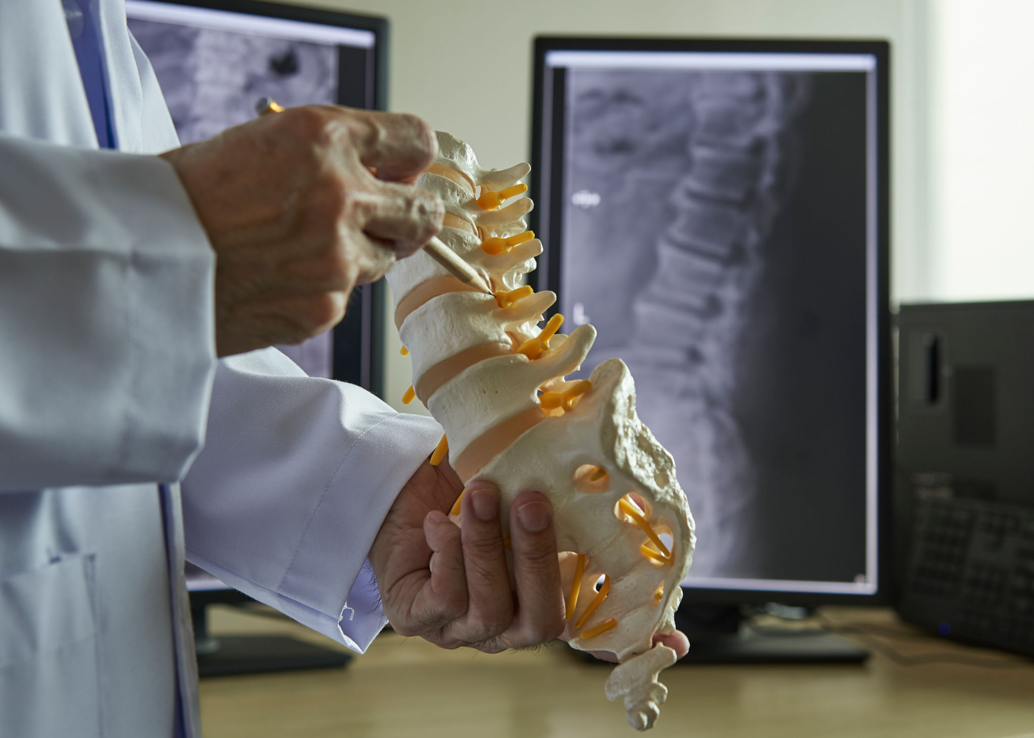 chiropractic education