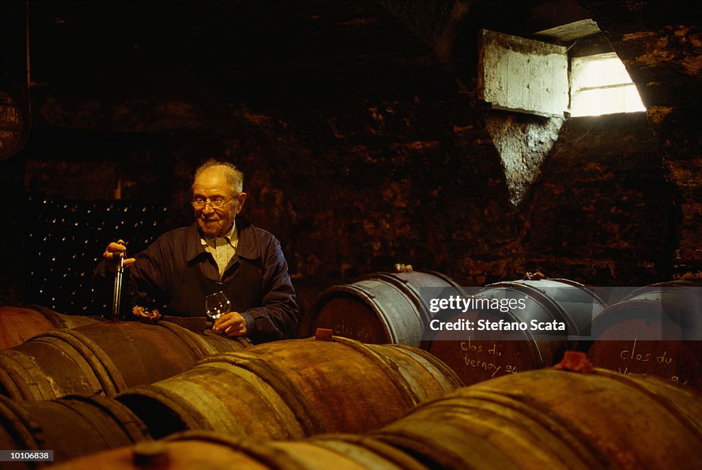 DESVIGENS CELLAR, BURGUNDY FRANCE