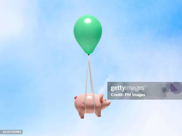 piggy bank being carried by balloon - support moving up stock pictures, royalty-free photos & images