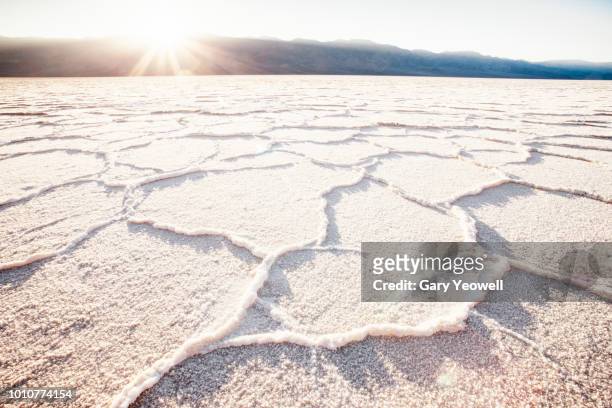 salt flat formations at sunset - salt flat 個照片及圖片檔