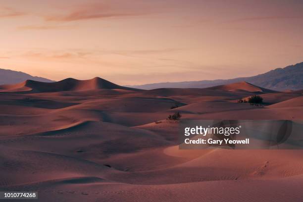 sand dune formations of death valley national park - mojavewoestijn stockfoto's en -beelden