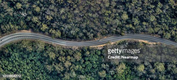 aerial view of winding road in the forest. victoria, australia - victoria australia stock-fotos und bilder