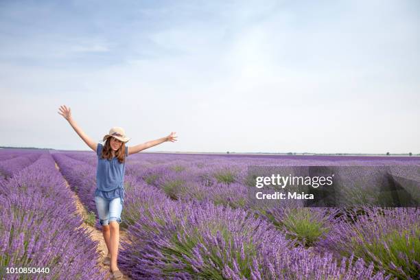 jeune fille dans un champ de lavande, provence - marché provence photos et images de collection