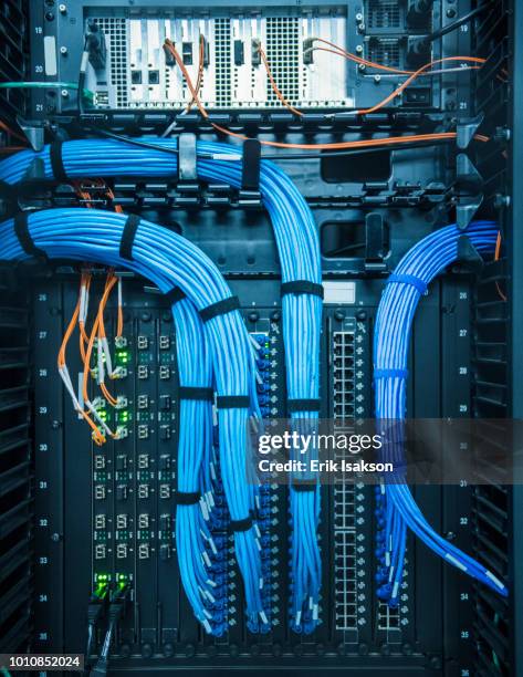 blue cables in network server - bandwidth management stock pictures, royalty-free photos & images
