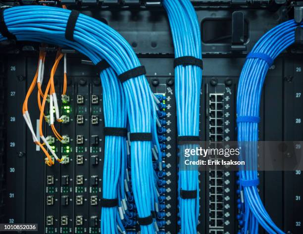 blue cables in network server - kabel stock-fotos und bilder