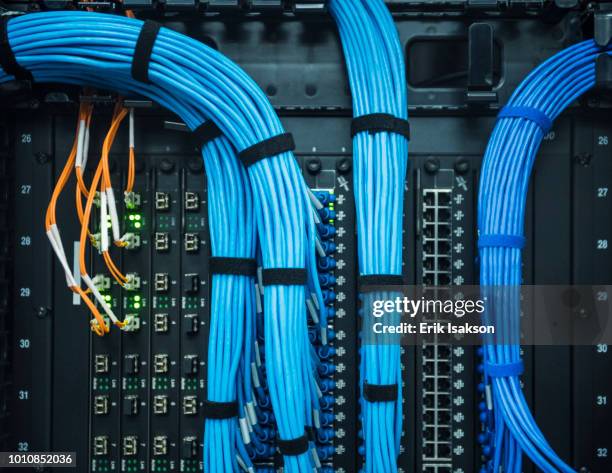 blue cables in network server - coiled wire stock pictures, royalty-free photos & images