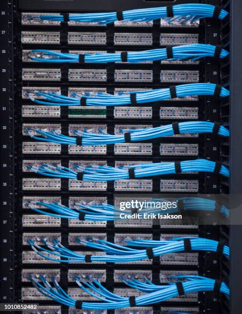 blue cables in network server - network server stock-fotos und bilder