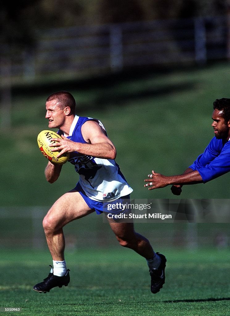 Kangaroos Training