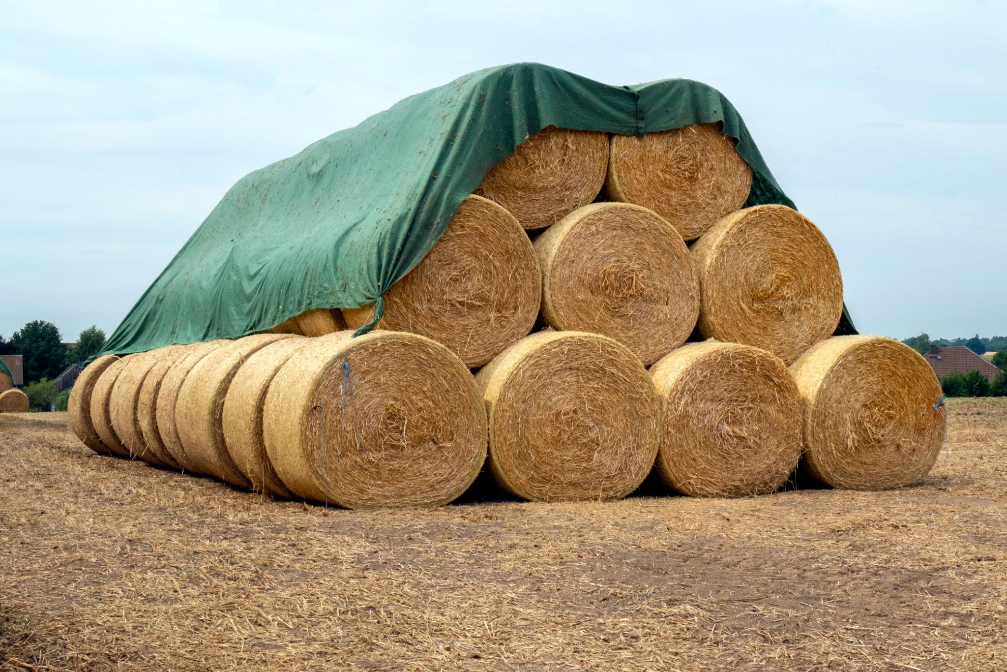 Straw bales Straw bales