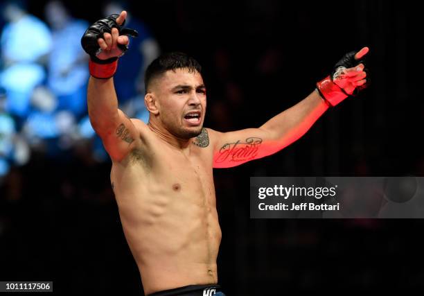 Alex Perez celebrates after his TKO victory over Jose Torres in their flyweight fight during the UFC 227 event inside Staples Center on August 4,...