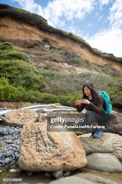 elev att ta foto av fossiler i stenarna på vildmarken beach - paleontologi bildbanksfoton och bilder