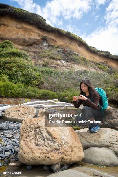 學生在荒野海灘上拍攝岩石化石照片 - palaeontology 個照片及圖片檔