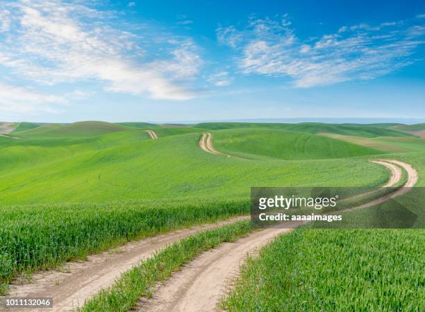 winding dirt road through farmland - rolling landscape stock pictures, royalty-free photos & images