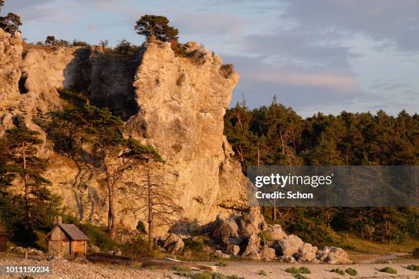 fishing cabin at a high cliff by the sea on gotland in the evening light - kalksteen stockfoto's en -beelden