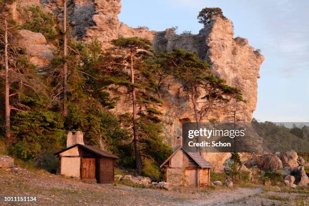 fishing cabin at a high cliff by the sea on gotland in the evening light - new zealand beach house stock pictures, royalty-free photos & images