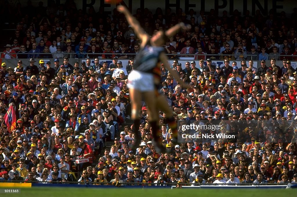 Andrew Eccles of Adelaide Crows