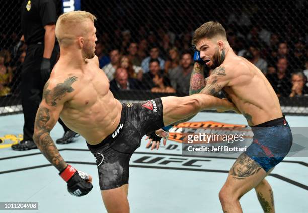 Dillashaw kicks Cody Garbrandt in their UFC bantamweight championship fight during the UFC 227 event inside Staples Center on August 4, 2018 in Los...