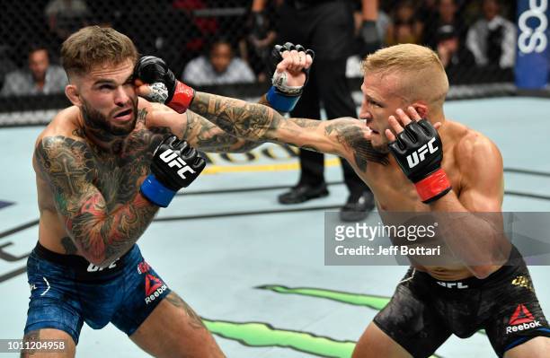 Dillashaw punches Cody Garbrandt in their UFC bantamweight championship fight during the UFC 227 event inside Staples Center on August 4, 2018 in Los...