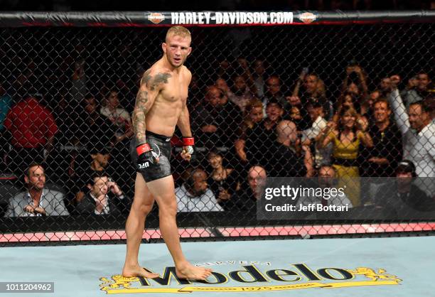 Dillashaw celebrates after his knockout victory over Cody Garbrandt in their UFC bantamweight championship fight during the UFC 227 event inside...