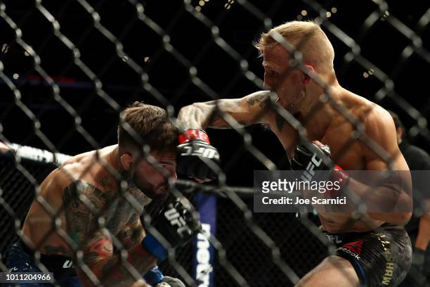Dillashaw throws an elbow at Cody Garbrandt in the first round of the UFC Bantamweight Title Bout during UFC 227 at Staples Center on August 4, 2018...