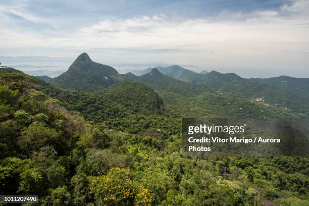 scenery of forest and mountains, tijuca forest national park, rio de janeiro, brazil - south america stock pictures, royalty-free photos & images