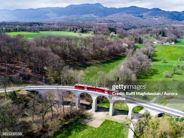train on viaduct - railway bridge stockfoto's en -beelden