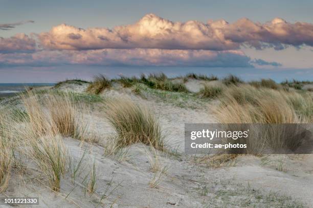 sand dune, cloudscape, dusk - wattenmeer national park stock pictures, royalty-free photos & images
