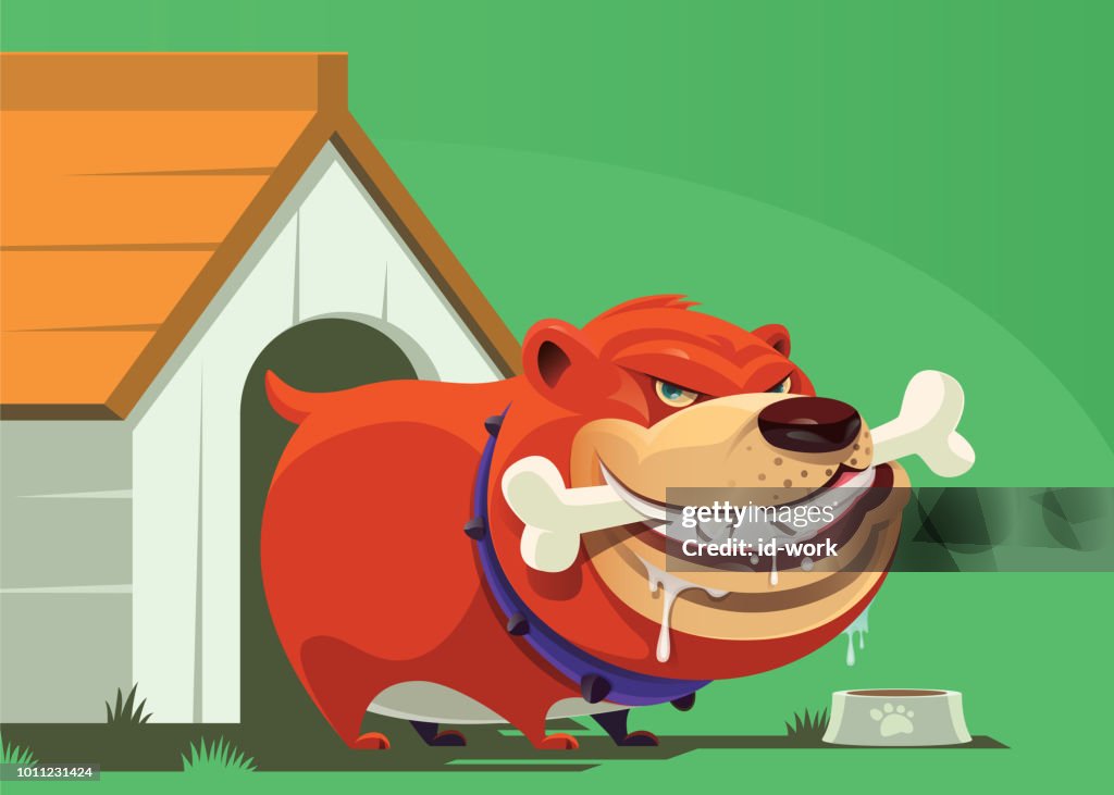 Angry Dog Holding Bone High-Res Vector Graphic - Getty Images