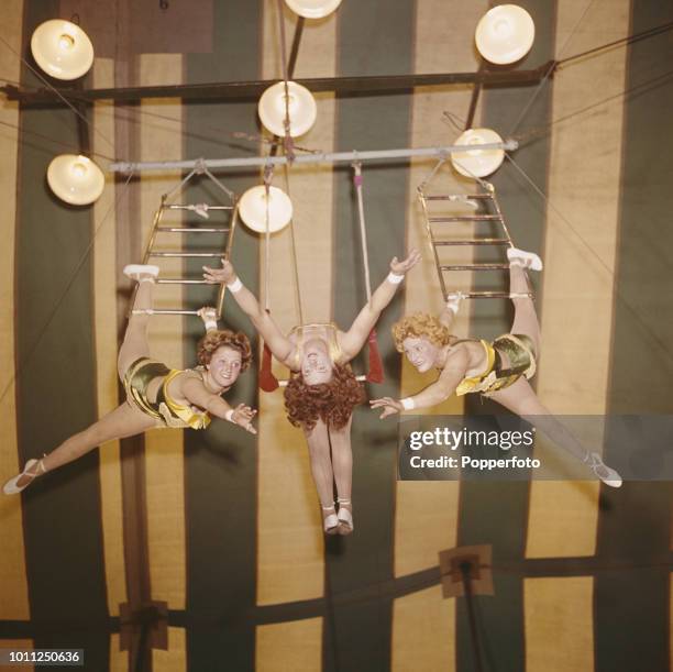 Trapezed 719 Trapeze Acrobats Stock Photos, High-Res Pictures, and Images ...