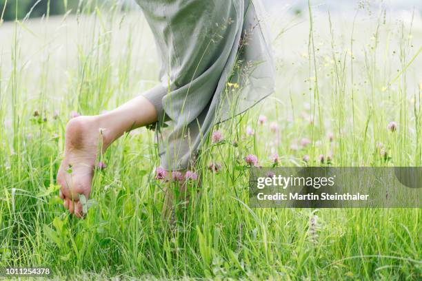 frau läuft barfuss durch grünes hohes gras - barefoot stock pictures, royalty-free photos & images