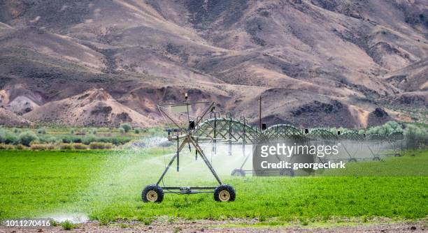 agrarische irrigatie van een veld in droge platteland - american potato farm stockfoto's en -beelden
