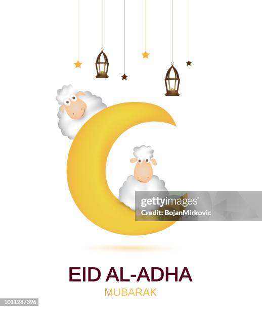 bildbanksillustrationer, clip art samt tecknat material och ikoner med eid al adha mubarak vita kort. muslimska julkort med söt fåren, månen och lykta och stjärnor. vektorillustration. - vit lamm