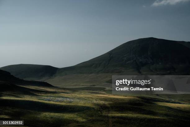 flock of sheep on the volcanoes - auvergne stock pictures, royalty-free photos & images