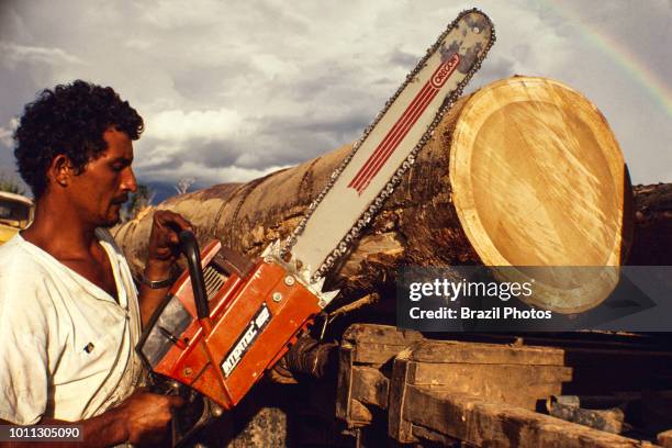 Logging, Amazon rainforest deforestation, transportation of heavy and big tree truncks, Acre State, Brazil.