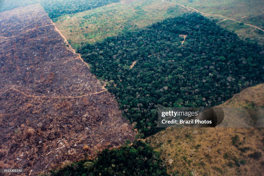 Aerial view of Amazon rainforest deforestation and farm...