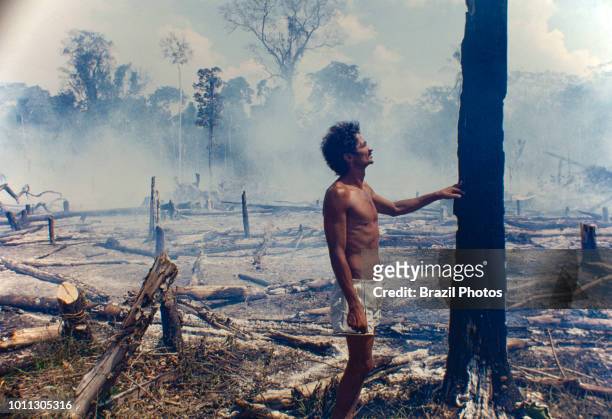Logging, Amazon deforestation, slashed-and-burned patch of forest at Acre State, Brazil.