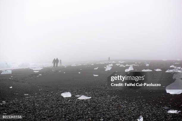 four people on the beach of jökulsárlón, east iceland - jokulsarlon stock pictures, royalty-free photos & images