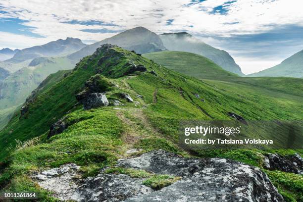 green mountain range summer panorama, lofoten islands, norway - green hills fotografías e imágenes de stock